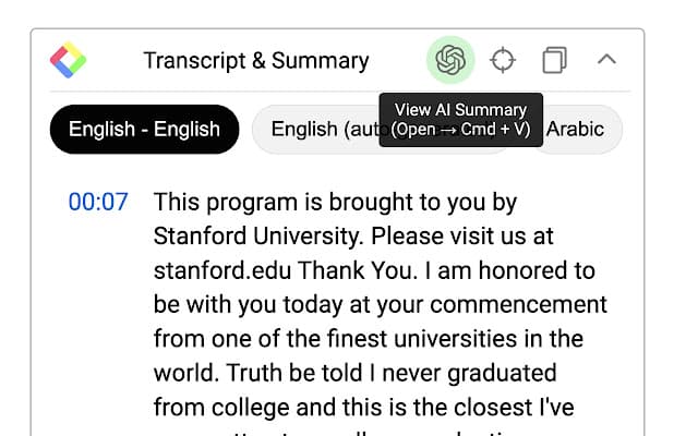Transcript and Summary panel from the YouTube Summary extension, showing a timestamped video transcript