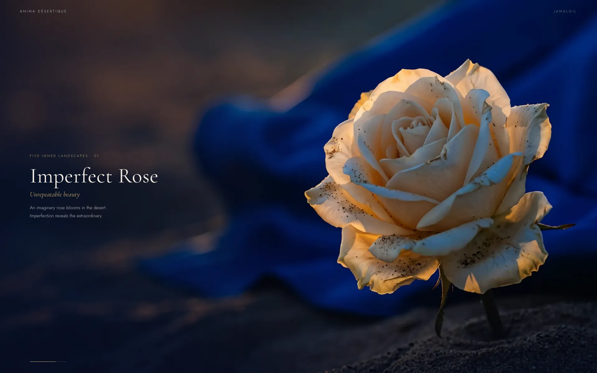 Anima Désertique: Imperfect Rose, ένα κρεμ τριαντάφυλλο που φυτρώνει στην άμμο