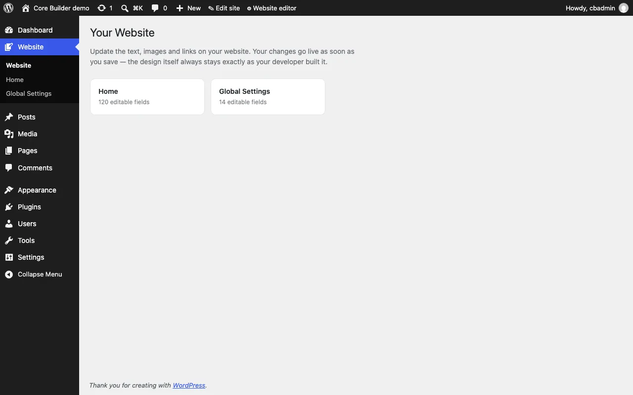 Το πάνελ Website